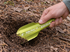 Hand gripping a lime DirtSaw Deuce #2 trowel while scooping loose soil at a small forest-floor hole, showing its curved blade profile