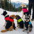 Summit Shield Waterproof Dog Vest