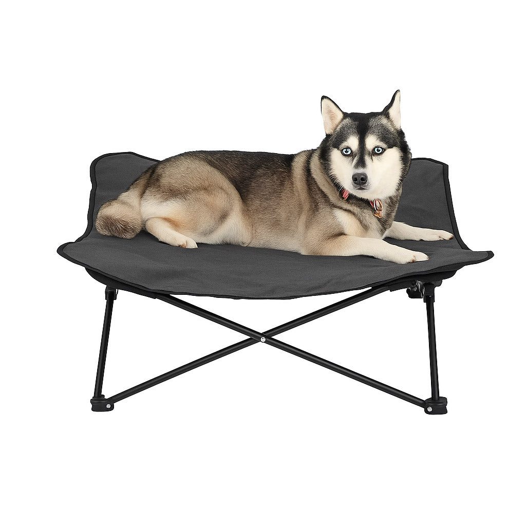 SummitFold Elevated Dog Cot Bed