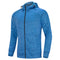 Men's ActiveFit Hooded Performance Jacket