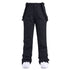 ApexStorm Insulated Ski Pants – Men’s
