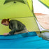 Gannet 4-Person Adventure Tent – Gear Loft Theater for Elevated Camping Experiences