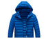 Men's Insulated Winter Parka with Detachable Hood