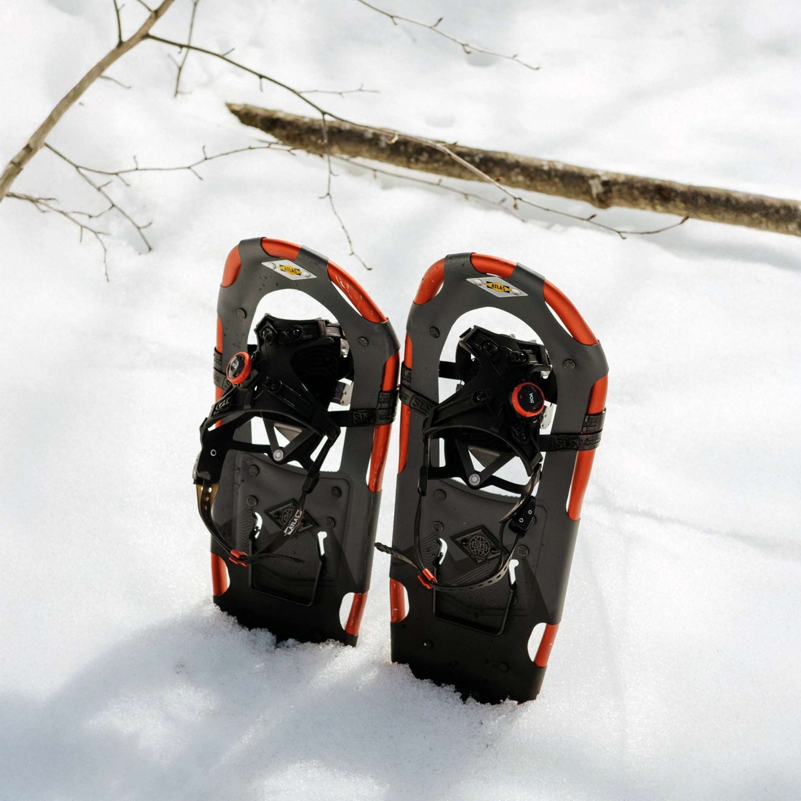 Treeline Snowshoes - Men's