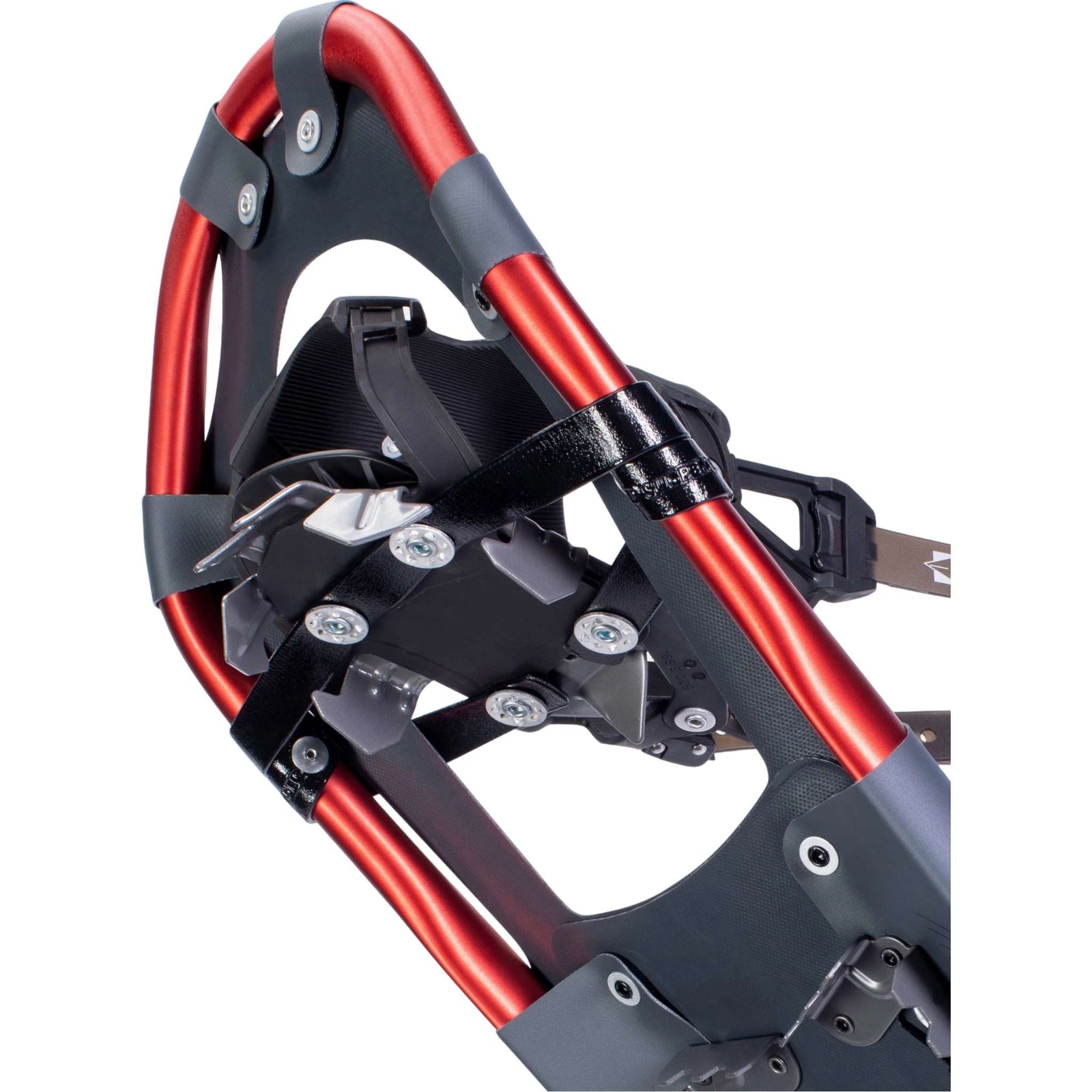 Treeline Snowshoes - Men's