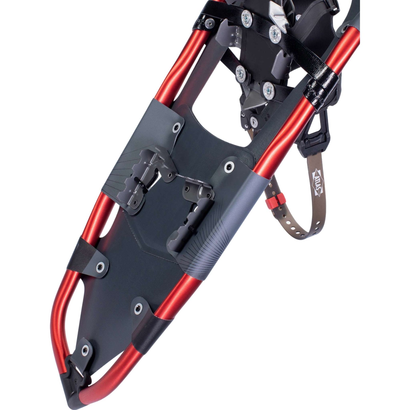 Treeline Snowshoes - Men's