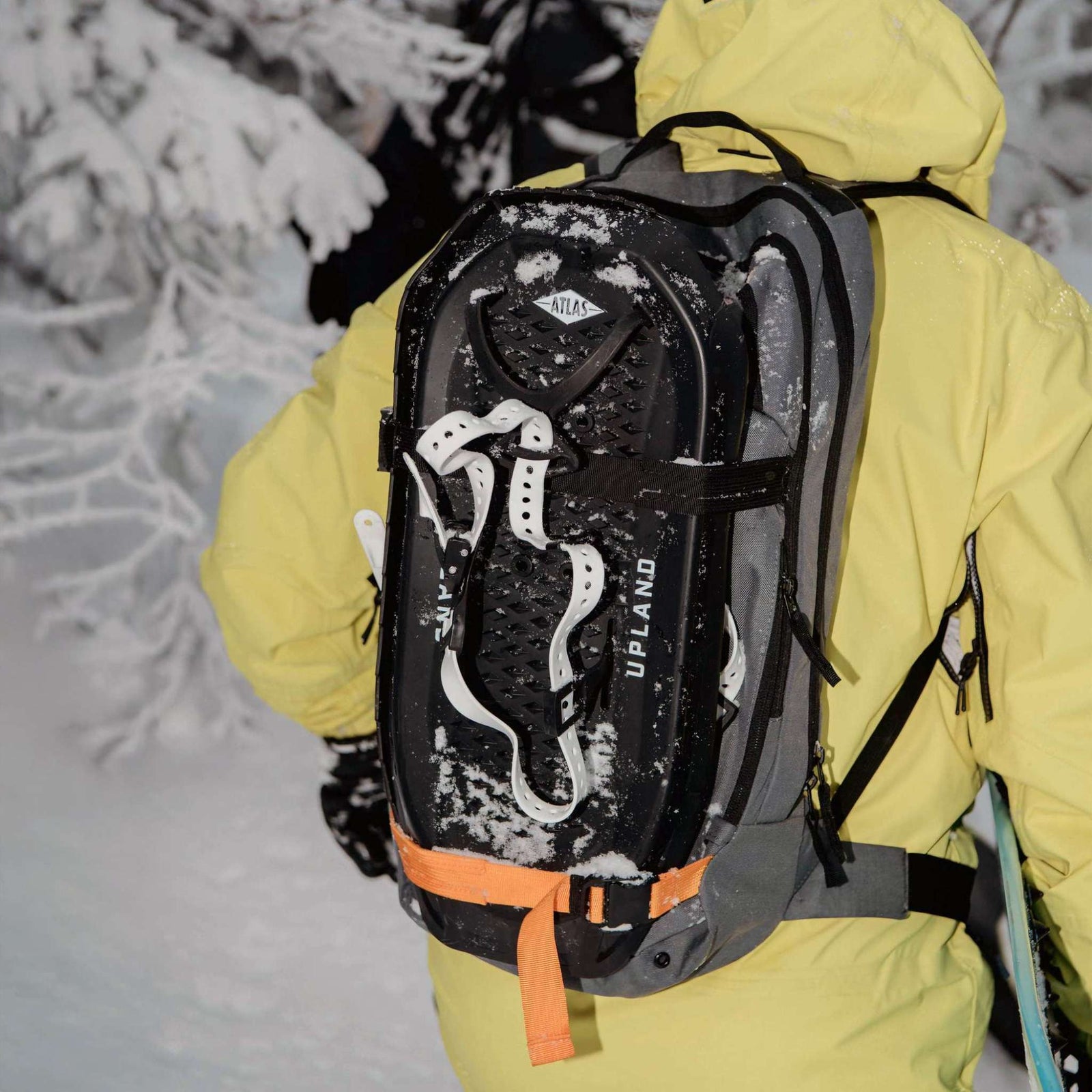 Upland Unisex Snowshoes